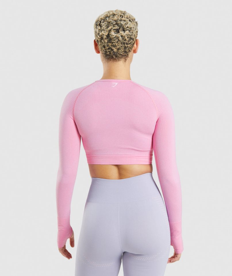 Women's Gymshark Vital Seamless 2.0 Cropped Tops Pink | NZ 1MNOSK